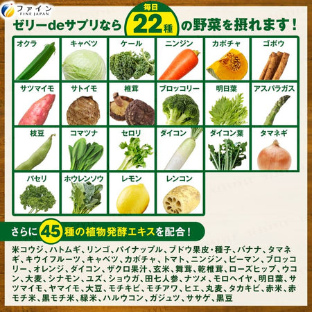 FINE JAPAN - Delicious Veggie Jelly Orange Flavor, 15g x 20, 347 g, 4976652016040