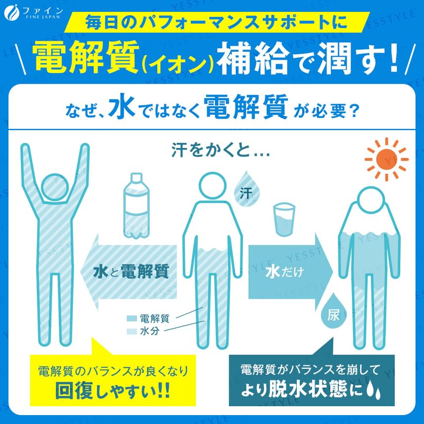 FINE JAPAN - Ion Drink With Lactic Acid Plus+, 3g x 20, 112 g, 4976652016507
