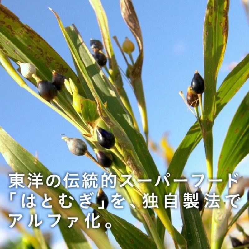 FINE JAPAN - Coix Seed Extract Tablets, 300 Tablets, 69 g, 4976652016552