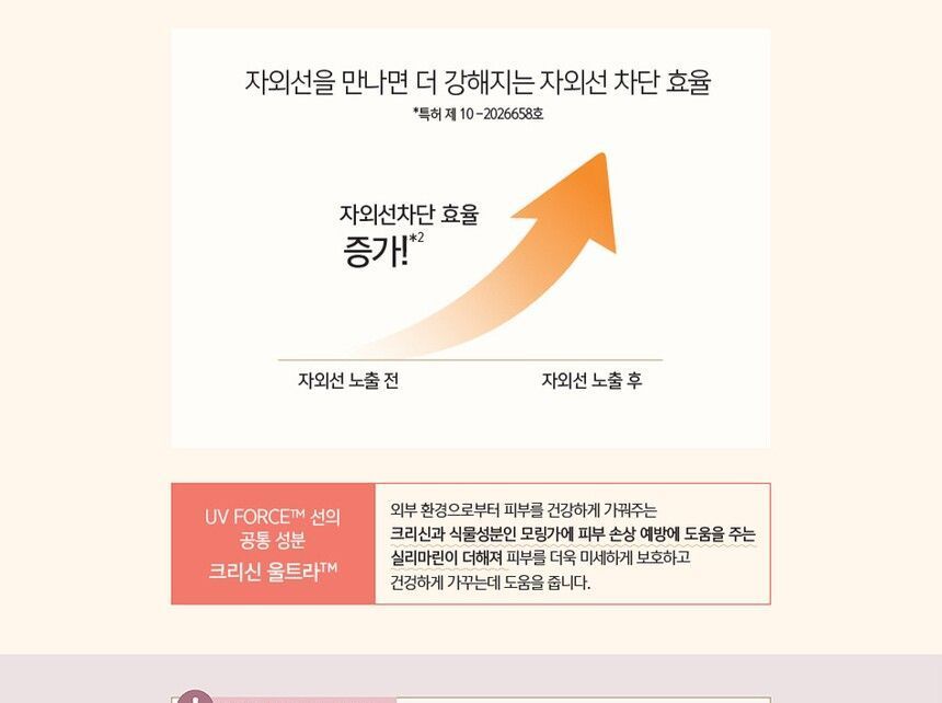 O HUI - Day Shield Tone Up Sun Block UV Force Special Set, 6 pcs, 337 g, 8809949485143