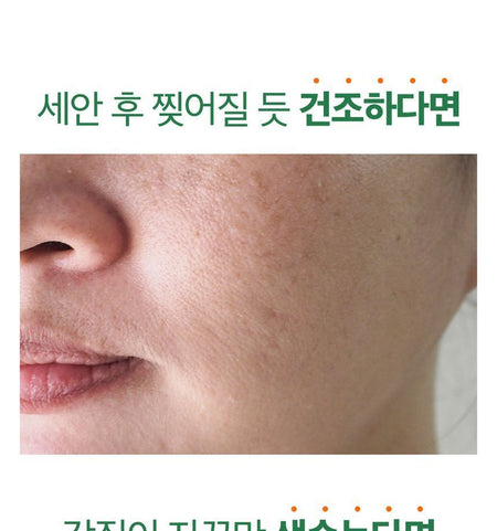 SUNGBOON EDITOR - Green Tomato Deep Pore Clean Enzyme Powder Wash Travel Set, 1.5g x 10 pcs, 30 g, 8809684564639