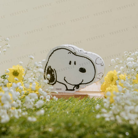 FreshO2 - Peanuts Snoopy Pressed Powder, 10g, 180 g, 4719890781598