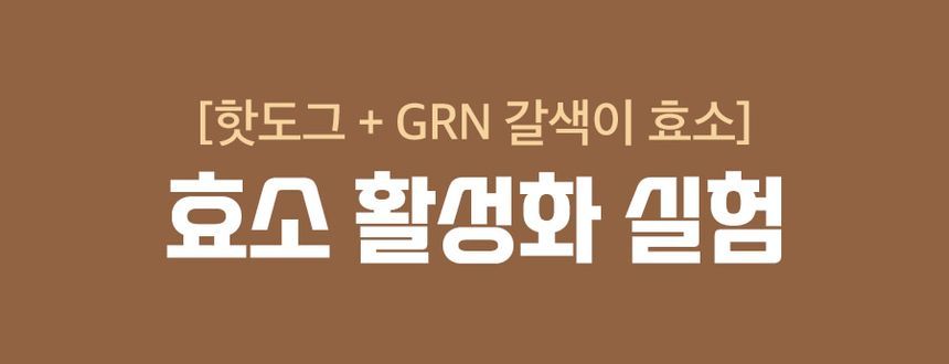 grn+ - Brown Enzyme, 3g x 14 sticks, 70 g, 8809653323335