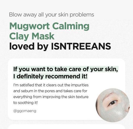 Isntree - Mugwort Calming Clay Mask Mini, 20ml, 31 g, 8809800940378