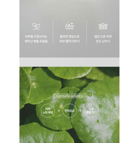 Pretty skin - The Pure Jeju Cica Soothing Gel, 300ml, 600 g, 8809733213389