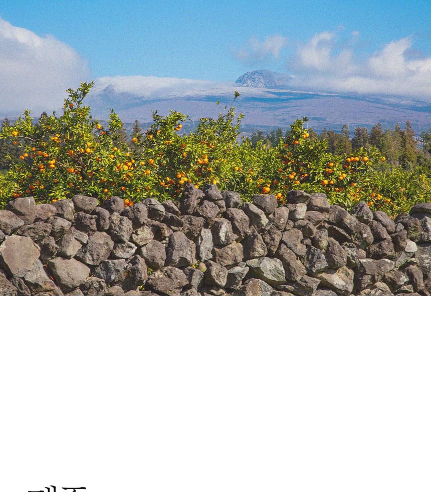 Pretty skin - The Pure Jeju Tangerine Vita C Cream, 52ml, 169 g, 8809733215192