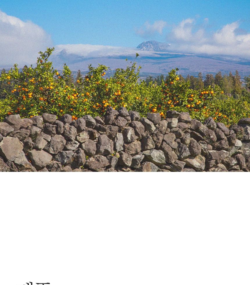 Pretty skin - The Pure Jeju Tangerine Vita C Ampoule, 52ml, 135 g, 8809733215208