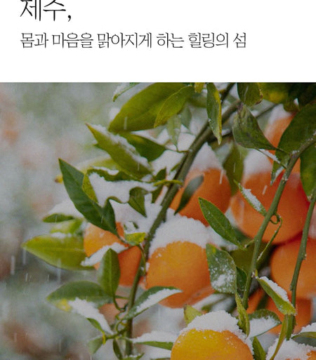 Pretty skin - The Pure Jeju Tangerine Vita C Ampoule, 52ml, 135 g, 8809733215208