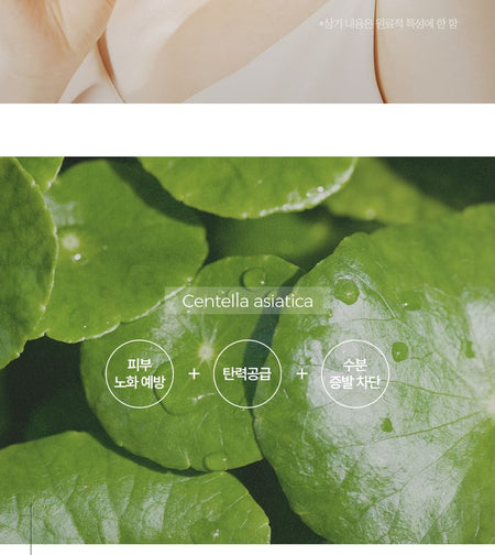 Pretty skin - The Pure Jeju Cica 40 Ceramide Cream, 52ml, 168 g, 8809733216434