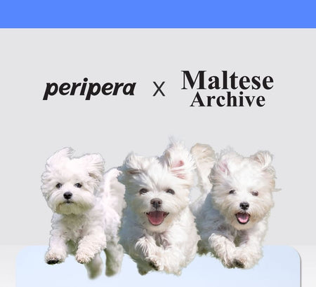 peripera - All Take Mood Palette Maltese Special Edition #16 Bravo Pink Puppy, 1 pc, 72 g, 8809900988553