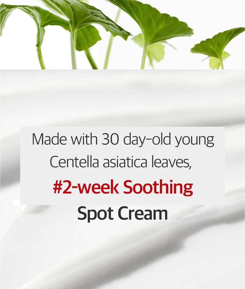 DERMAFIRM - CICAA.C Spot Cream, 15g, 50 g, 8809912930502