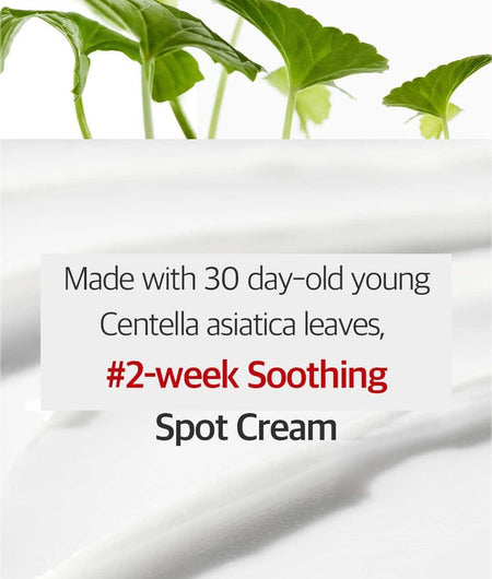 DERMAFIRM - CICAA.C Spot Cream, 15g, 50 g, 8809912930502