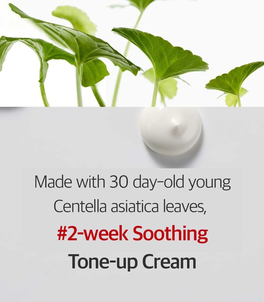 DERMAFIRM - CICAA.C Tone Up Cream, 50ml, 74 g, 8809912930519