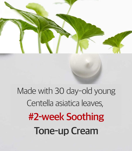 DERMAFIRM - CICAA.C Tone Up Cream, 50ml, 74 g, 8809912930519