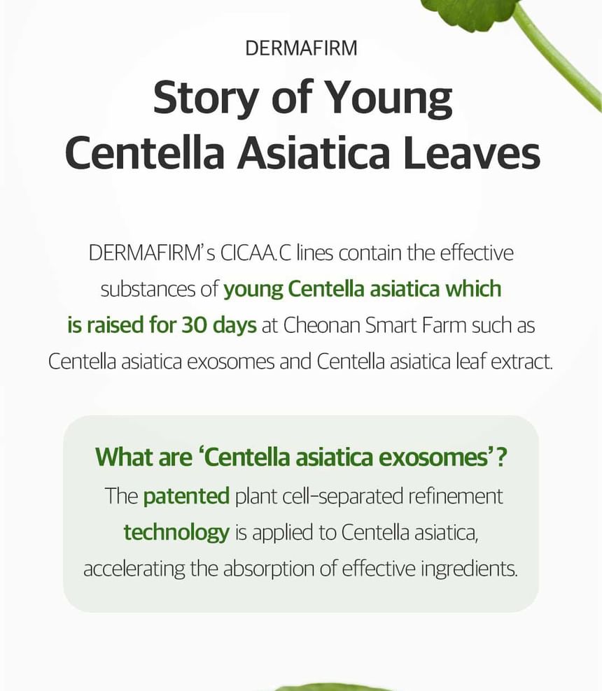 DERMAFIRM - CICAA.C Serum, 30ml, 92 g, 8809912930496