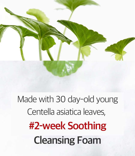 DERMAFIRM - CICAA.C Cleansing Foam, 150g, 380 g, 8809912930472