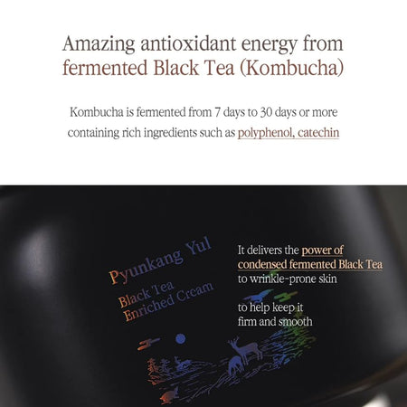 Pyunkang Yul - Black Tea Enriched Cream, 60ml, 324 g, 8809486682289