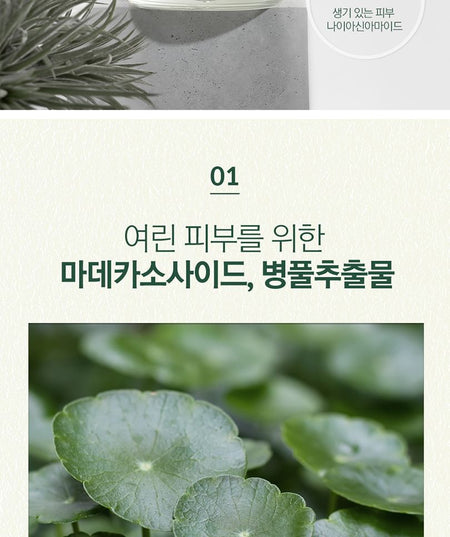 Pyunkang Yul - Calming Moisture Nourishing Cream, 50ml, 117 g, 8809486682999