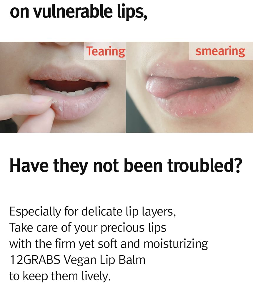 12 GRABS - Vegan Lip Balm, 4g, 18 g, 8809836240077