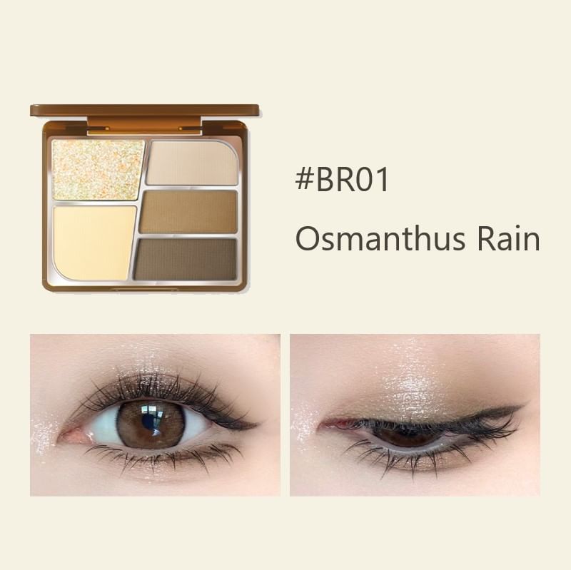 FOCALLURE - Eyeshadow Palette - Osmanthus Rain, #BR01 Osmanthus Rain - 6.5g, 55 g, 6941845810741