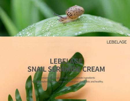 LEBELAGE - Snail Ceramide Cream, 100ml, 233 g, 8809589393068