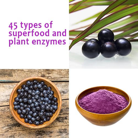 FINE JAPAN - Fine Superfood Acai & Maqui Berry Powder, 50g, 62 g, 4976652009264