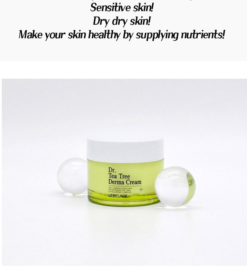 LEBELAGE - Dr. Tea Tree Derma Cream, 50ml, 145 g, 8809445611381