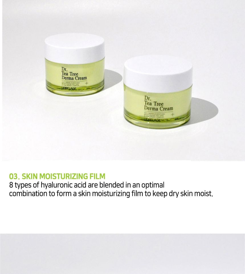 LEBELAGE - Dr. Tea Tree Derma Cream, 50ml, 145 g, 8809445611381