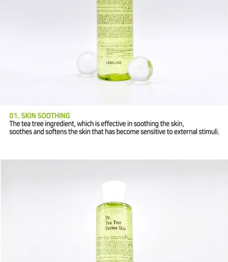 LEBELAGE - Dr. Tea Tree Derma Skin, 210ml, 270 g, 8809445611367