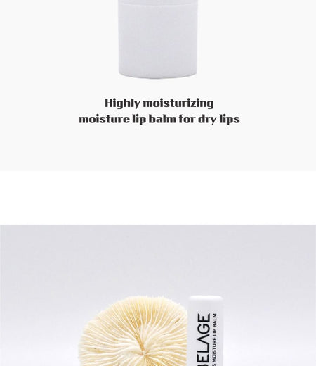 LEBELAGE - Essential Moisture Lip Balm, 3.8g, 16 g, 8809679091812