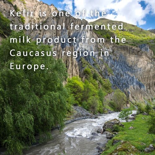 FINE JAPAN - Active Kefir Probiotic Tablet, 300 Tablets, 241 g, 4976652005129