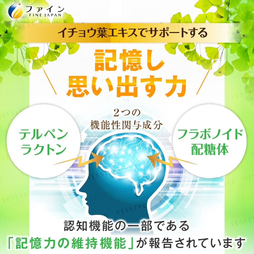 FINE JAPAN - Function Claims Ginkgo Biloba Extract Memory Power Supplement, 90 Tablets, 183 g, 4976652011038