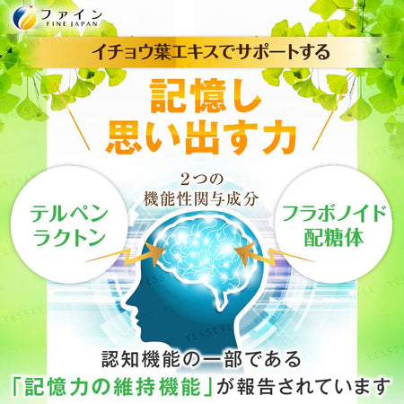 FINE JAPAN - Function Claims Ginkgo Biloba Extract Memory Power Supplement, 90 Tablets, 183 g, 4976652011038