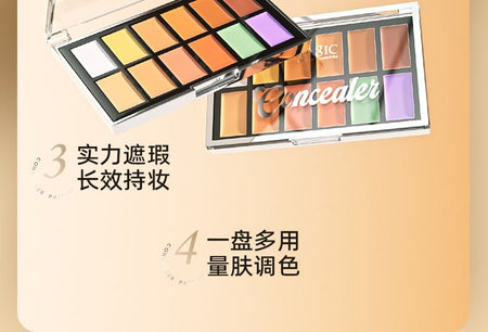 IMAGIC - 12 Colours Concealer Palette, 12 Colours Palette - 19.5g, 88 g, 6970855702685