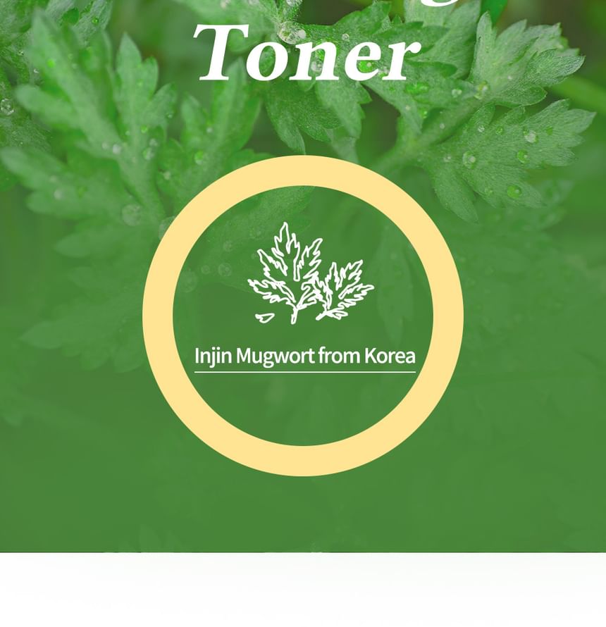 ALIVE:LAB - Injin Mugwort Calming Toner, 2024 Version - 150ml, 177 g, 8809853890064