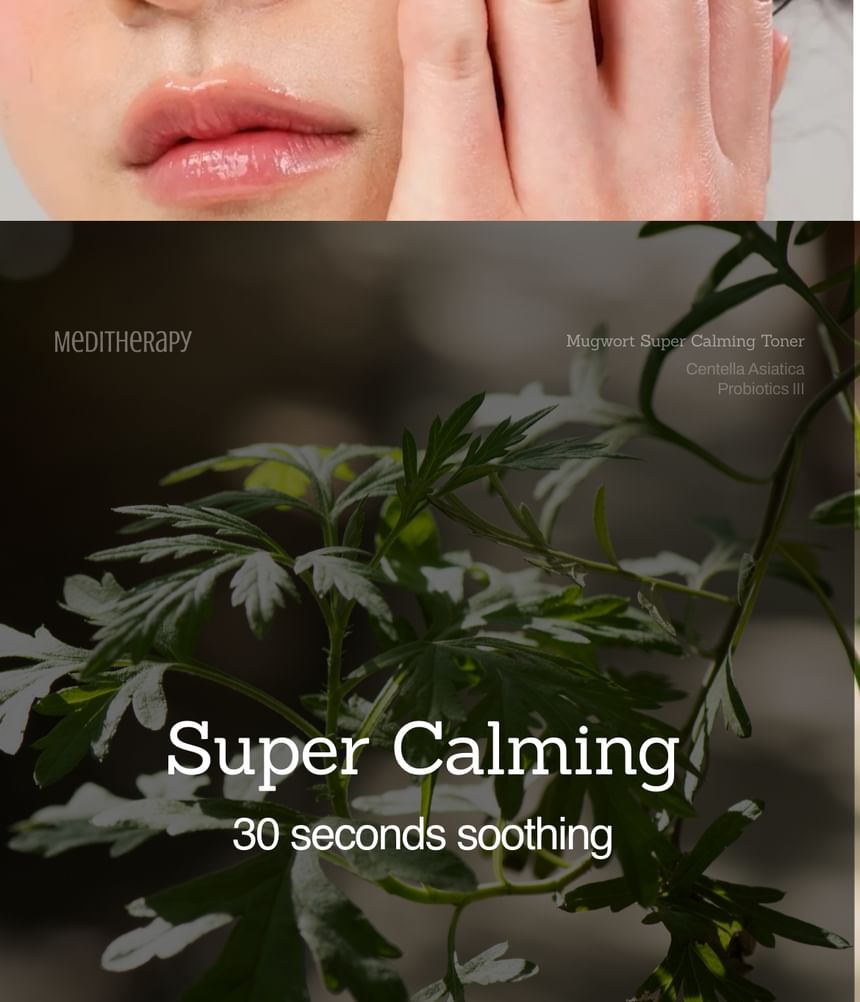 Meditherapy - Mugwort Super Calming Toner, 250ml, 320 g, 8809606774030