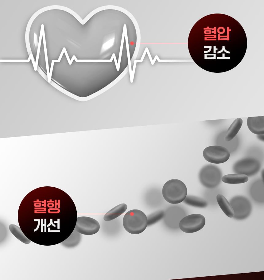 LACTIV - Blood Pressure & Blood Sugar Mega Balance Banaba Leaf Coenzyme Q10, 500mg x 60 tablets, 78 g, 8809787231131