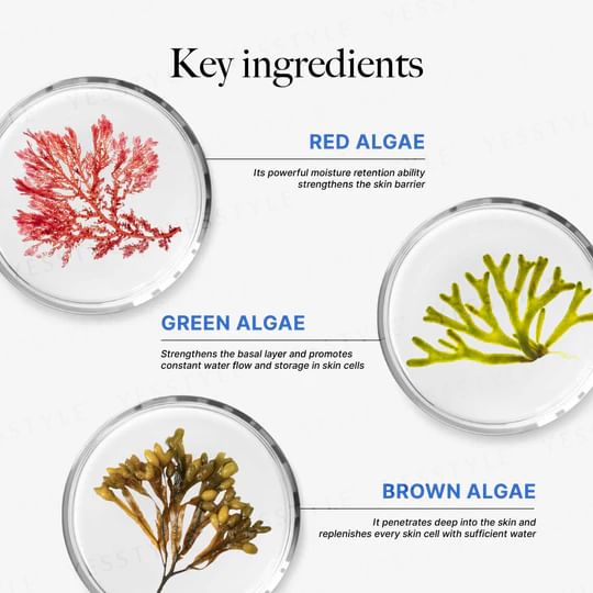clef - Ocean Elixir Multi-Algae Hydrating Serum, 50ml, 180 g, 9556839900055