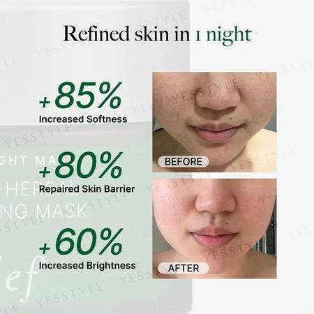 clef - Multi-Herbal Repairing Overnight Mask, 100g, 240 g, 9556839900949