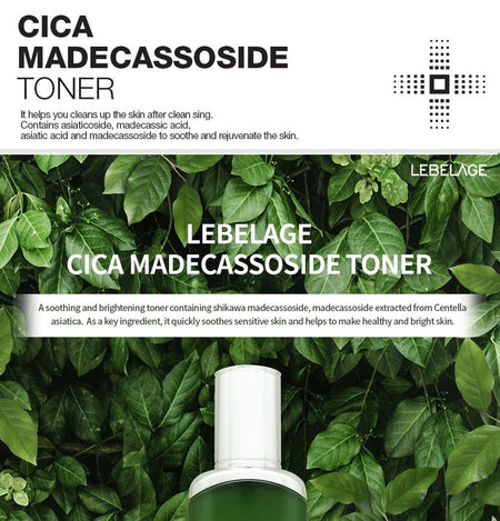 LEBELAGE - Cica Madecassoside 4 Set, 4 pcs, 1350 g, 8809445611343