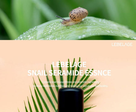 LEBELAGE - Snail Ceramide Ampoule Essence, 500ml, 650 g, 8809589393037