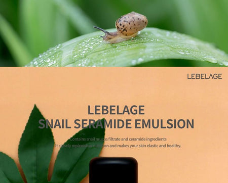 LEBELAGE - Snail Ceramide Emulsion, 300ml, 420 g, 8809589393051