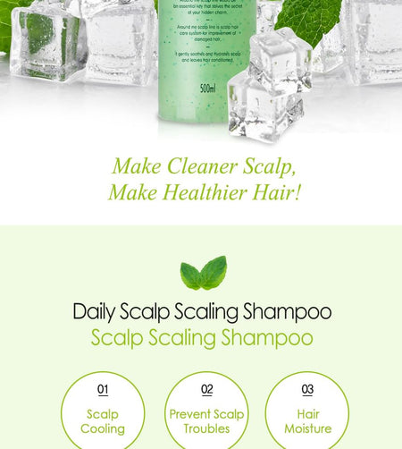 AROUND ME - Scalp Scaling Shampoo Plus, 500ml, 590 g, 8803348037026
