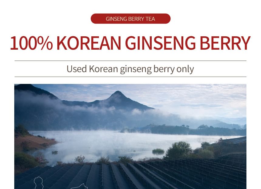 JUNGWONSAM - Korean Ginseng Berry Tea, 3g x 50 sticks, 306 g, 8809118597165