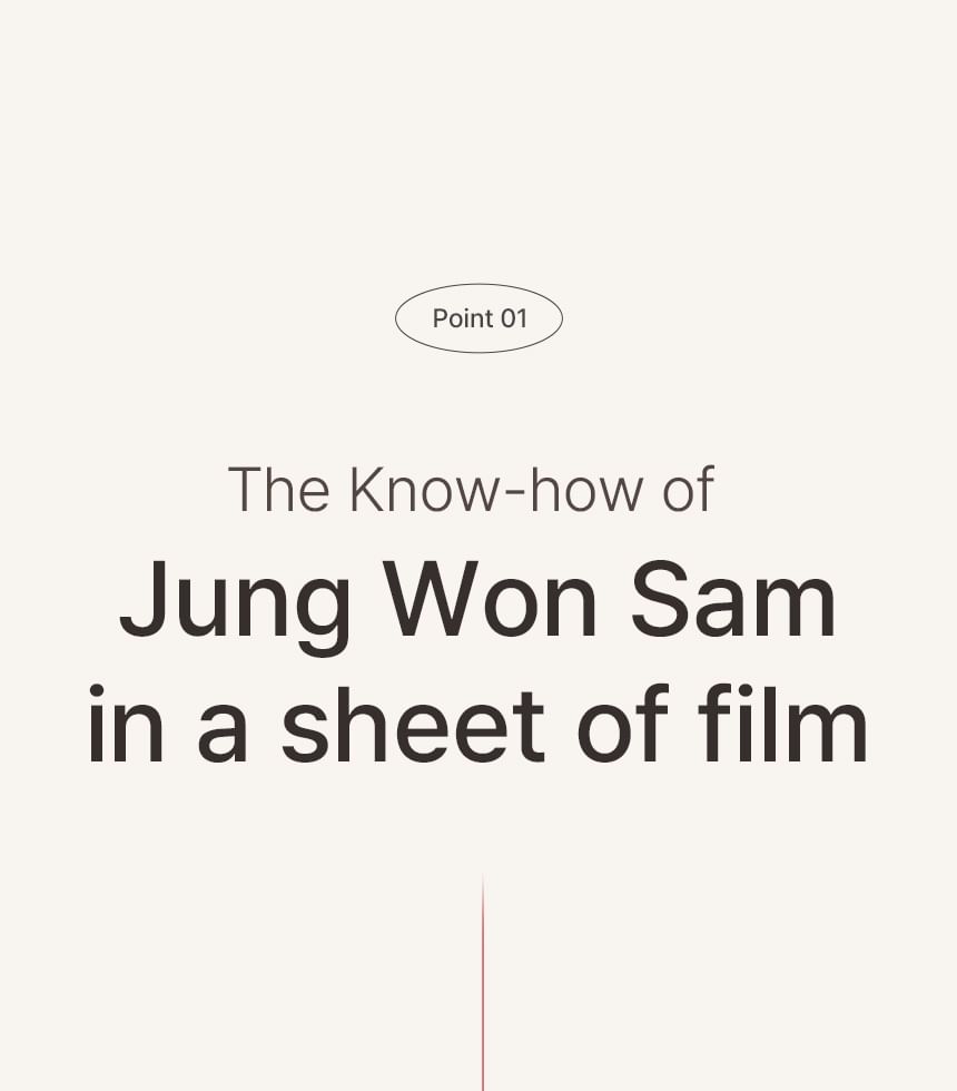 JUNGWONSAM - Korean Red Ginseng Extract 365 Film, 235mg x 60 packets, 229 g, 8809714530849