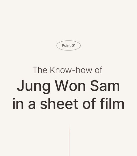 JUNGWONSAM - Korean Red Ginseng Extract 365 Film, 235mg x 60 packets, 229 g, 8809714530849
