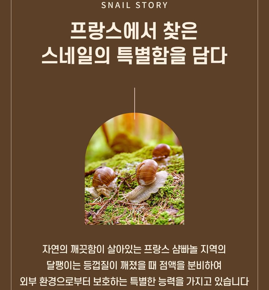 NATURE REPUBLIC - Snail Solution Skin Booster Mask Sheet, 25g x 1 sheet, 30 g, 8806173482528