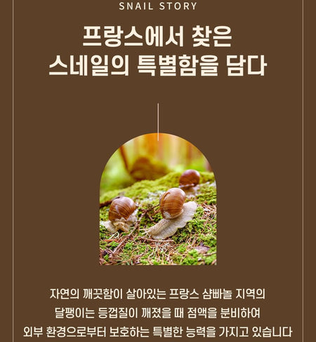 NATURE REPUBLIC - Snail Solution Skin Booster Mask Sheet, 25g x 1 sheet, 30 g, 8806173482528