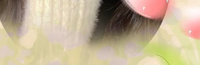 COLOR SCHOOL - 16 Colors Matte Eyeshadow Palette - 902 Night Market, #902, 154 g, 6955416227845