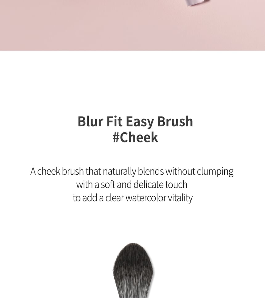 2aN - Blur Fit Easy Brush Cheek, 1 pc, 50 g, 8809689210357